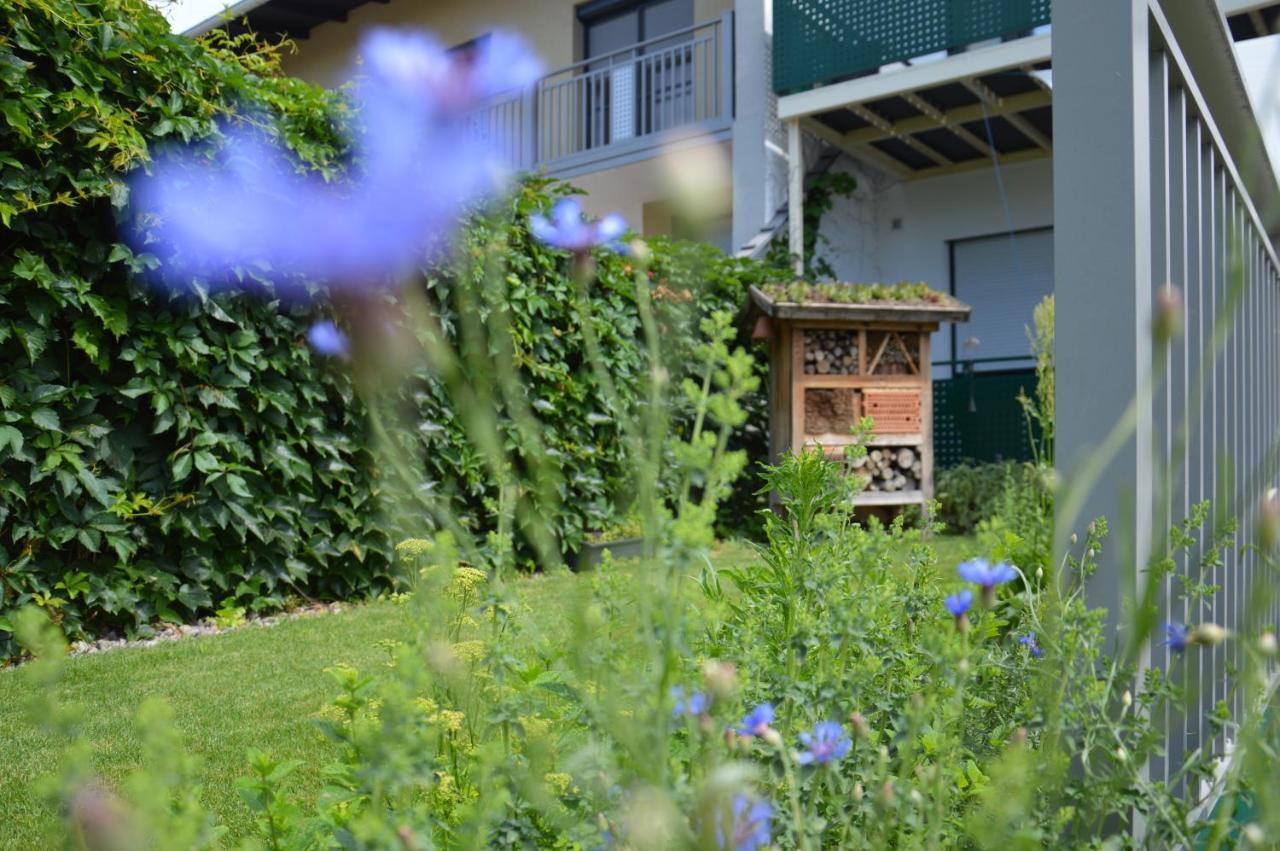 Gaestehaus Schmidt Hotel Podersdorf am See Exterior photo